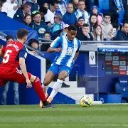 九州体育-莱万特主场战平奥萨苏纳，保持不败战绩的简单介绍