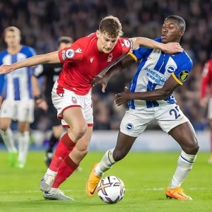 ju11.co-布莱顿球队