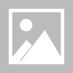 ju11.co-包含埃里温之战意大利-淘汰奥地利，欧洲杯四分之一决赛晋级的词条